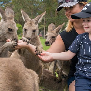 Symbio Wildlife Park